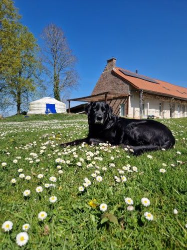 logement insolite près de Lille